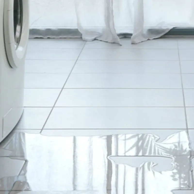 Appliance Leak Cleanup in Morgantown, MS