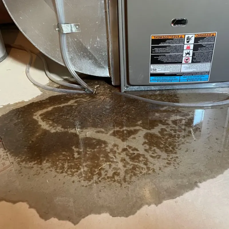 Pipe Burst and Leak Restoration in Morgantown, MS