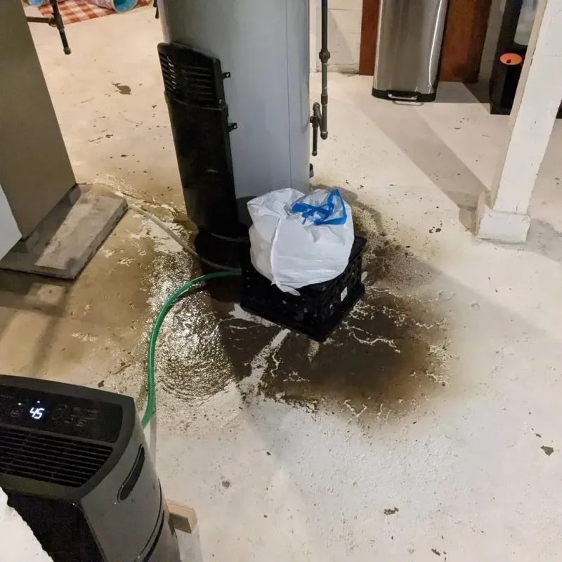 Sewage Backup Cleanup Service in Morgantown, MS
